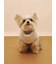 【CAT&DOG】フェザーハートロゴプルオーバー