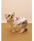 【CAT&DOG】フェザーハートロゴプルオーバー