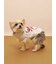 【CAT&DOG】フェザーハートロゴプルオーバー