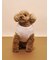 【CAT&DOG】フェザーハートロゴプルオーバー