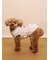 【CAT&DOG】フェザーハートロゴプルオーバー