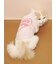 【CAT&DOG】フェザーハートロゴプルオーバー
