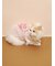 【CAT&DOG】フェザーハートロゴプルオーバー