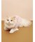 【CAT&DOG】フェザーハートロゴプルオーバー