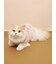 【CAT&DOG】フェザーハートロゴプルオーバー