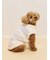 【CAT&DOG】ジェラートメランジプルオーバー