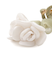 フラワーバリエーションヘアクリップ