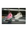 【CONVERSE】ALL STAR FOODTEXTILE HI