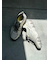 【emmi×PUMA】MORPHIC