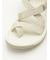 【TEVA】TERRA DACTYL