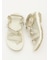 【TEVA】TERRA DACTYL