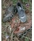 【Mizuno】WAVE PROPHECY LS GTX