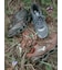 【Mizuno】WAVE PROPHECY LS GTX