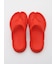 【PAES】New Flipflop