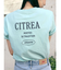 【WEB限定価格】カラーエンブロイダリーTee