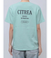 【WEB限定価格】カラーエンブロイダリーTee