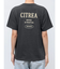 【WEB限定価格】カラーエンブロイダリーTee