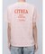 【WEB限定価格】カラーエンブロイダリーTee