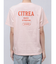 【WEB限定価格】カラーエンブロイダリーTee
