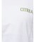 【WEB限定価格】カラーエンブロイダリーTee