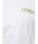 【WEB限定価格】カラーエンブロイダリーTee
