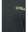 【WEB限定価格】カラーエンブロイダリーTee