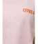 【WEB限定価格】カラーエンブロイダリーTee