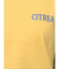 【WEB限定価格】カラーエンブロイダリーTee