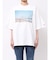 PARROTT CANVAS TRAVEL PH