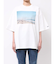 PARROTT CANVAS TRAVEL PH