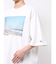 PARROTT CANVAS TRAVEL PH