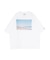 PARROTT CANVAS TRAVEL PH