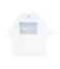 PARROTT CANVAS TRAVEL PH
