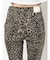 H/WレオパードPATTERNカラーパンツ