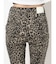 H/WレオパードPATTERNカラーパンツ