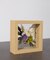 BLOMSTER　Flower Frame S