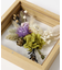 BLOMSTER　Flower Frame S