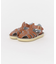 Salt Water Sandals　SS Shark