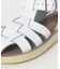 Salt Water Sandals　SS Shark