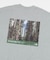 THE NORTH FACE　S/S  Yosemite Scenery T-Shirts