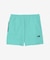 THE NORTH FACE　Strider Short