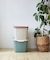 『WEB限定』stacksto　baquet M