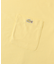 LACOSTE　アウトラインクロックポケットTシャツ