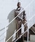 new basic　Nylon Rip Stop Wind Parka