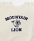 『別注』Mixta×URBAN RESEARCH　MOUNTAIN LION