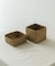 『WEB限定』サイアム　カチュー水草ふた付き四角BOX S