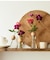 CLAY　visco M