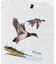 LIBERTY GRAPHICS　Mallards