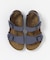 BIRKENSTOCK NEWYORK(KIDS)