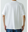 LACOSTE　アウトラインクロッククルーネックTシャツ